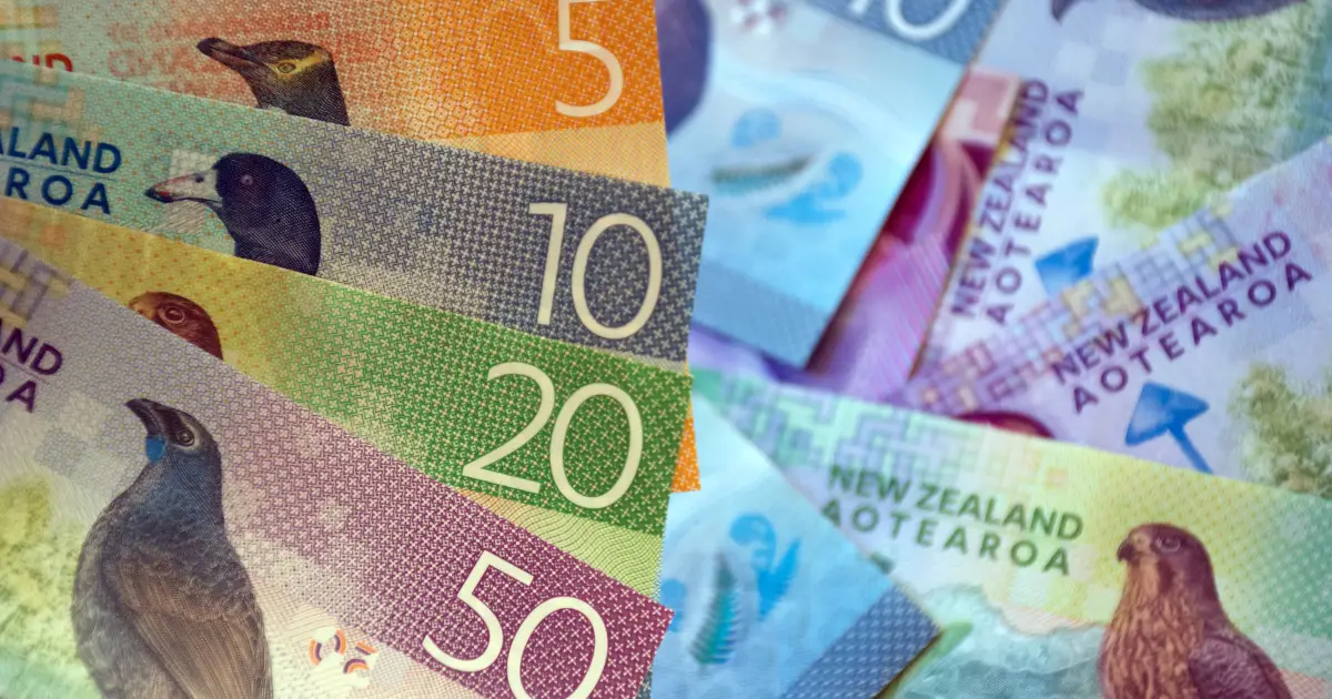 How Independent Comparison Platforms Are Using Technology to Simplify Financial Decisions for New Zealanders